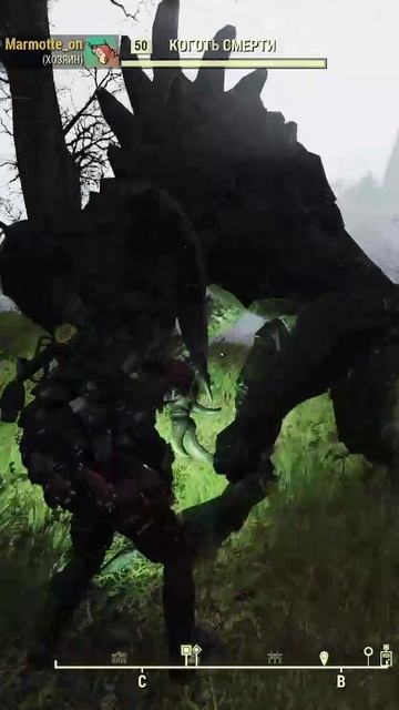 ПРИРУЧИ КОГТЯ СМЕРТИ