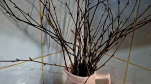 Наши недостатки становятся достоинством!