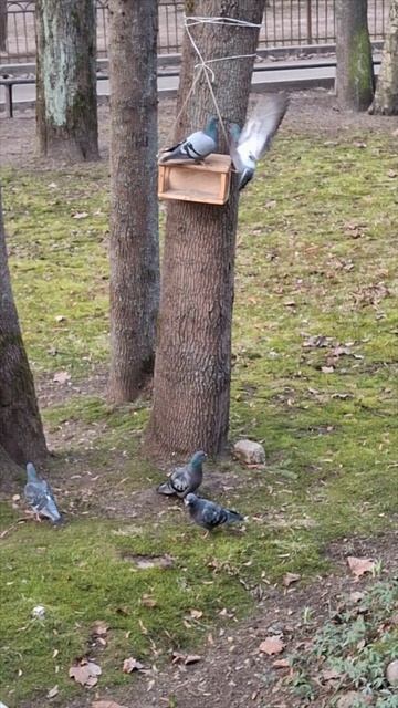 Наглость и хитрость - дают сытость!