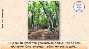 Коркищенко_Старая лошадь в старом лесу