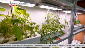 Ферма за полярным кругом!