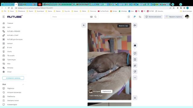 Котята питомника кошек  ЭЛЕГАНТ БИСТ
