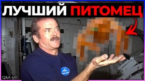 Лучший космический питомец, последствия пролета 3I/ATLAS, ограничения точек Лагранжа | Q&A 410