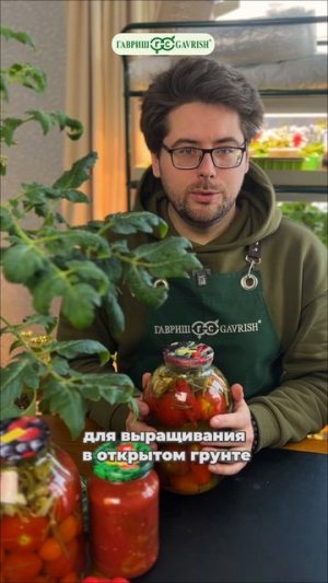 ТОМАТЫ ДЛЯ ОГ - ОБЗОР И РАССЧИТЫВАЕМ СРОКИ!