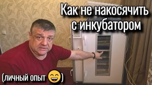 Подготовка инкубатора к сезону: ключевые параметры и дачные приключения!