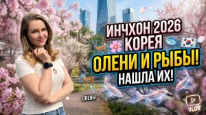 Весна в Корее! 🌸 Нашла первые цветы, милых оленей и огромных рыб в Центральном парке Инчхона