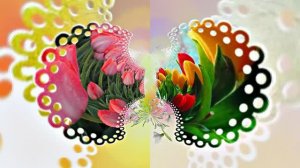 Весна! Очаровательные тюльпаны 5! Киностудия Мудрого Кота Тимофея!