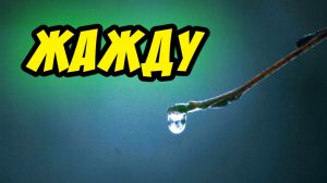 Жажду - Василий Савич. Христианские проповеди