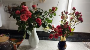 Черенкую розу из букета.Навожу порядок на огороде.