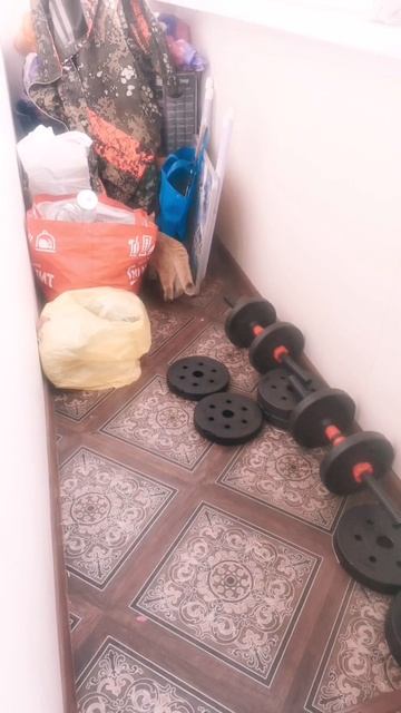 Мяу знакомство:3