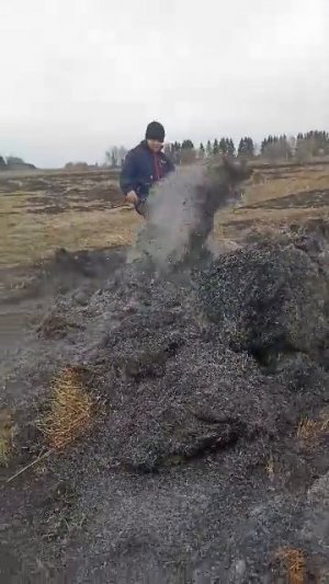 Богдана Саша и Илья