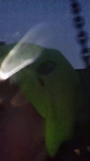 я не знаю что произойдёт