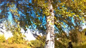 Юрьев Польский