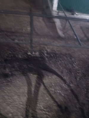 гитар стрим ♥️♥️♥️