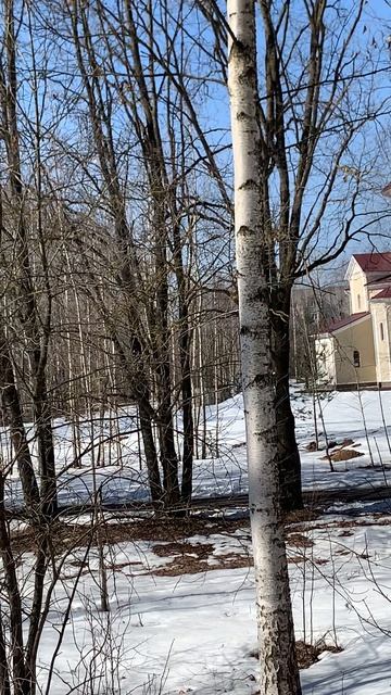 Церковь святой равноапостольной Нины просветительницы Грузии
