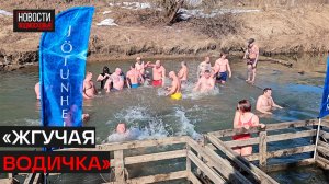 Моржи закрыли сезон в Истре