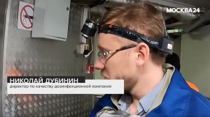 «Москва 24» показали эффективную борьбу «Добролов» против крыс на сложном объекте типа «рынок»