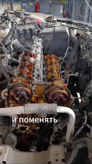 Chevrolet Малибу: Пробило прокладку