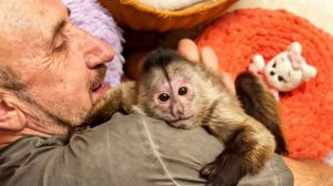 Финик ТАК ОБИДЕЛСЯ на Влада из-за Николь, что даже ушел в вольер😒