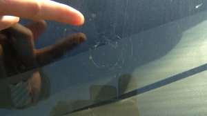 Время местное. Эфир: 31-03-2026 - Криминальная хроника