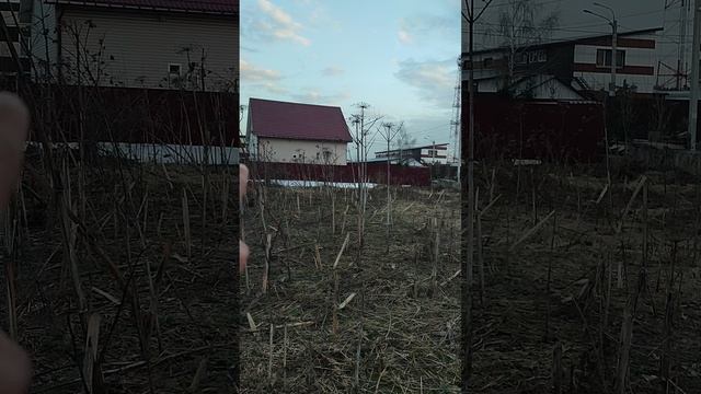 2) дер. Дурыкино, г.о. Солнечногорск, 1390 м2, осмотр 31.03.2026