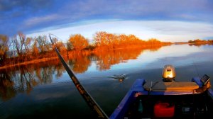ВОДА ПРОГРЕВАЕТСЯ, СУДАК ВСЁ АКТИВНЕЙ