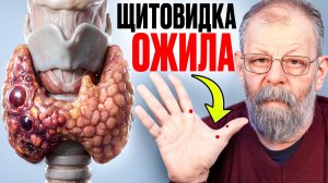 25 ГРАММОВ, КОТОРЫЕ УПРАВЛЯЮТ ВАШЕЙ ЖИЗНЬЮ