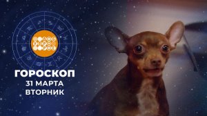 Гороскоп на 31 марта для всех знаков зодиака