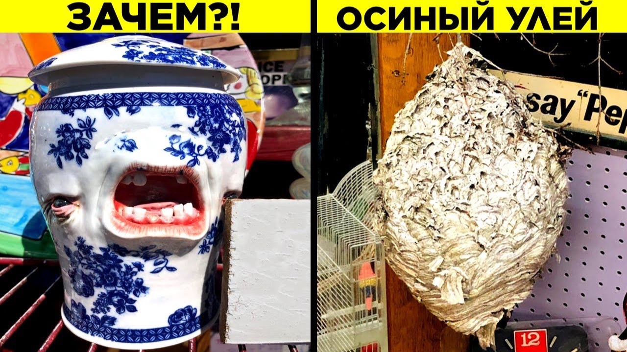 Странные Вещи, Найденные в Комиссионных Магазинах