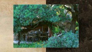 Ги де Мопассан о Корсике и о любви.