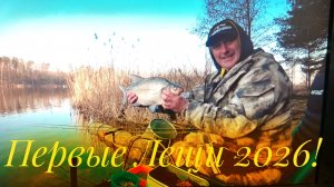 ЛЕЩ ПОШЁЛ! ТОЛЬКО ЗАБРОСИЛ И СРАЗУ ПОКЛЁВКА! УДАЧНОЕ ОТКРЫТИЕ ФИДЕРНОГО СЕЗОНА!