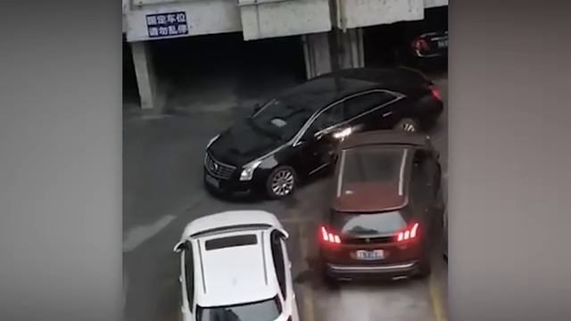 ЛЮДИ, КОТОРЫЕ ОТОМСТИЛИ СВОИМ СОСЕДЯМ