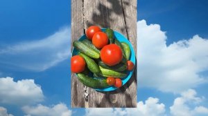 Зеленые будни  моих овощей