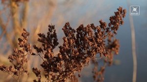 Весенний Воскресенск в нашей рубрике «Картинка дня»