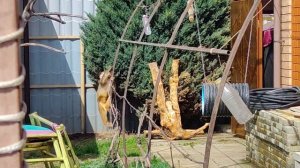 Гита с Джоном вместе во дворе😍🙉👍