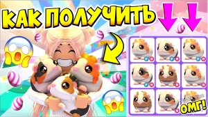 КАК ПОЛУЧИТЬ НОВЫХ МОРСКИХ СВИНОК В АДОПТ МИ!😱 4 НЕДЕЛЯ САХАРНОГО ФЕСТИВАЛЯ В АДОПТ МИ! 🍭ADOPT ME