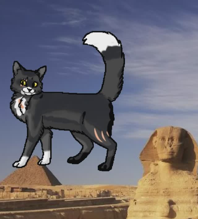 КВшники в Египте. ИДЕЯ ВЕТЕРОЧКА. С юбилейкой. Не хотела накого обидеть. Опис