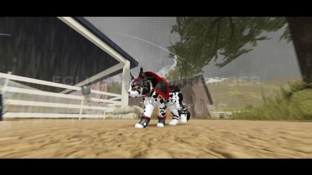 что-же видео с автором