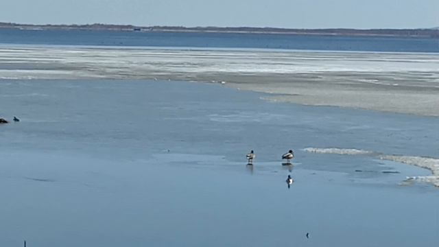 Я классная, себе я очень нравлюсь.