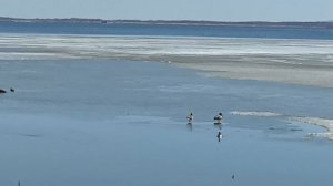 Я классная, себе я очень нравлюсь.