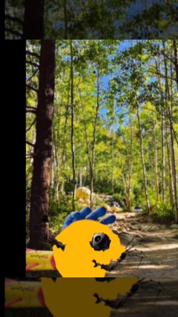 а по лесу я иду