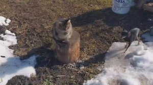 ✅️Довели меня до слёз.😂