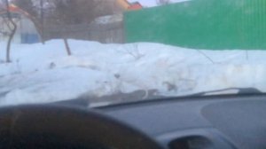 машина противоугонка