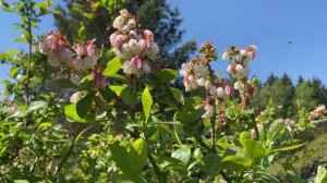 Юрий Шарец о планах на новый сезон