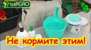 УБИЙЦА РАССАДЫ! Шокирующий рецепт от Виктории Карелиной. Вся правда о новой подкормке: ОСТОРОЖНО!