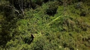 Аляска: Семья из леса 8 сезон 7 серия (реалити-шоу, 2018)