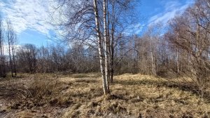 Кротово 2х10соток ИЖС