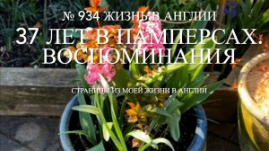 37 лет в памперсах. Новости о соседях. Мои воспоминания. Чихуахуа и сад. № 934 Жизнь в Англии