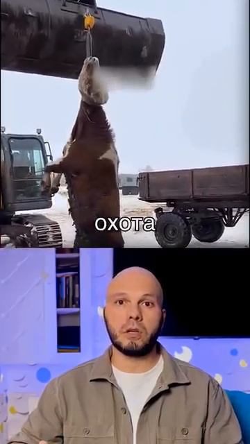 еда новости мотивация франция