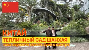 Шанхай 2026 - Тепличный ботанический сад днем и вечером - невероятная красота! (+2 суши ресторана)